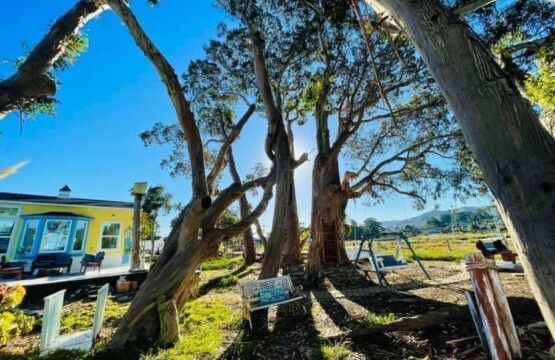 vacation rentals -in Morro Bay, CA